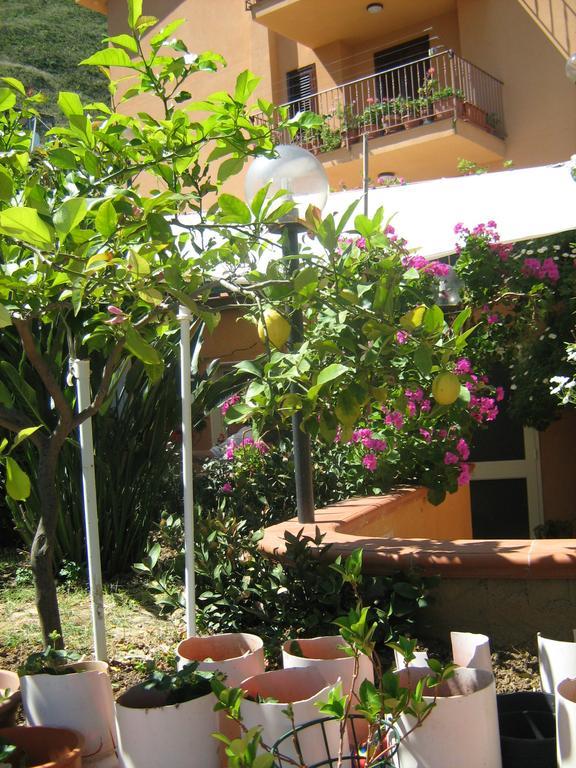 Terrazza Mimosa Apartment Cefalù Exterior foto
